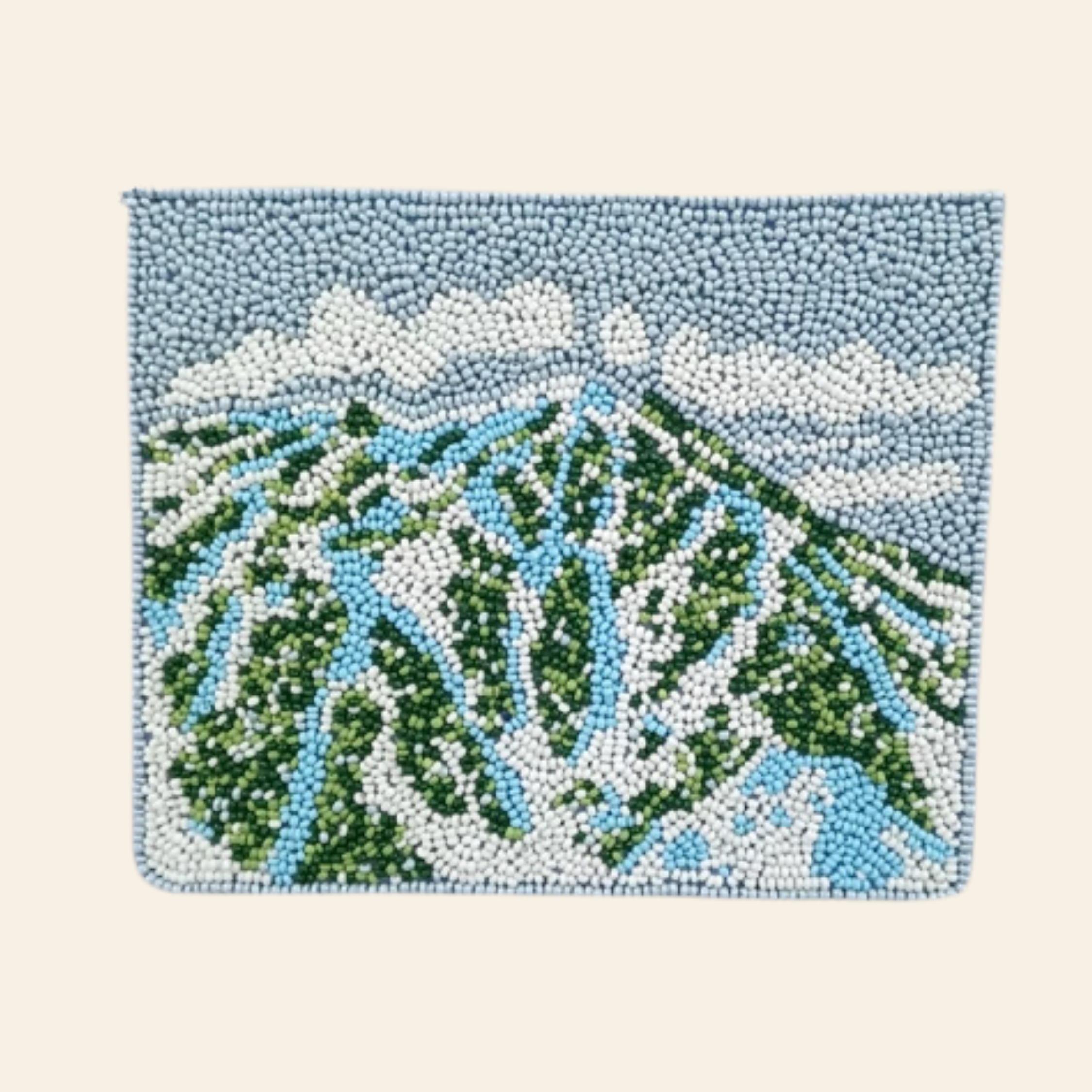 H+P Beaded Pouch |  Baldy PRESALE