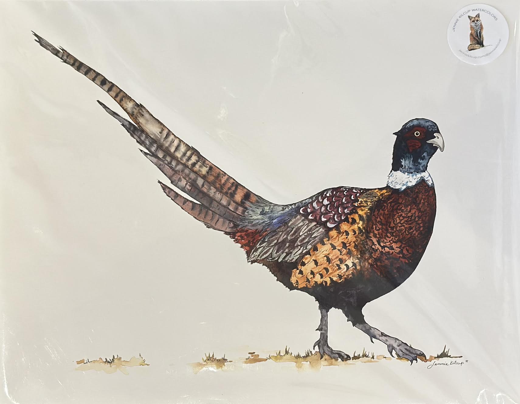 Jennie Kilcup 11" x 14" Prints - Souvenir - Huck & Paddle