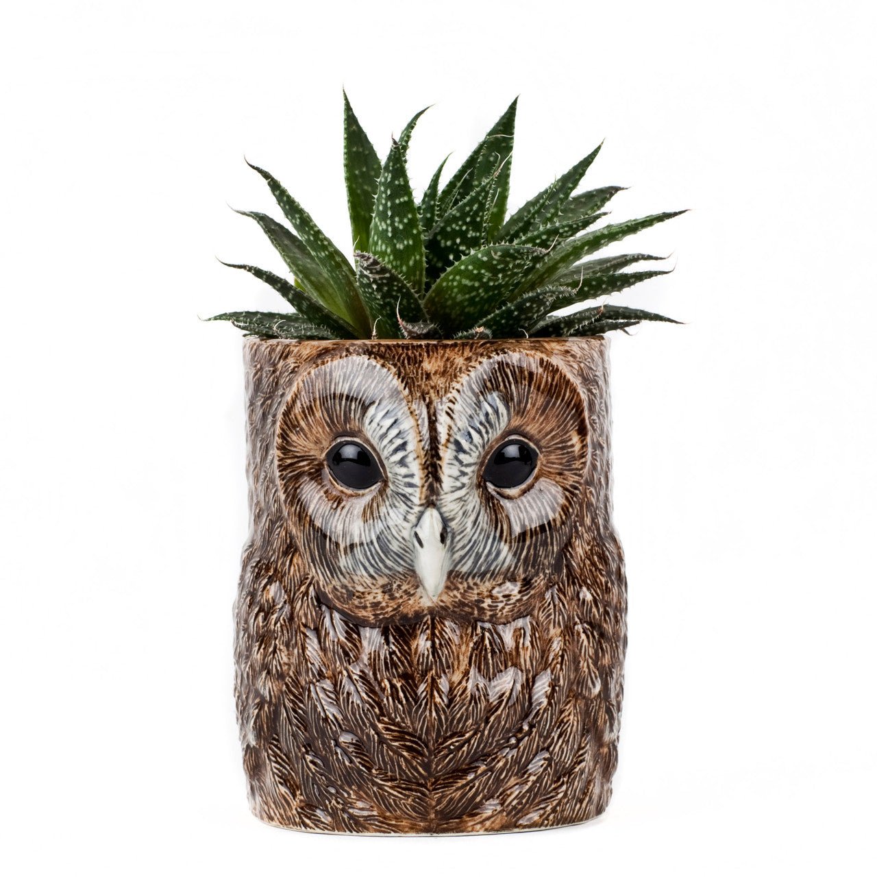 Tawny Owl Pencil Pot - Huck & Paddle