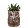 Tawny Owl Pencil Pot - Huck & Paddle